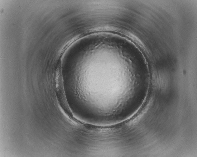 X0000070860849200606161138