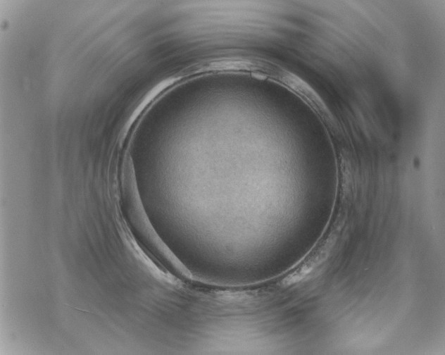 X0000070860852200606161138