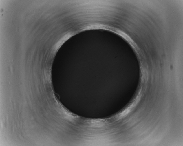 X0000070860857200606161138