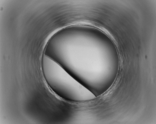 X0000070860862200606161138