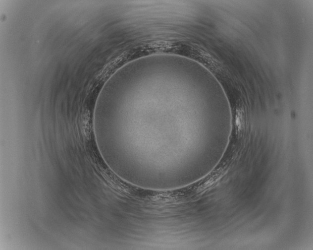 X0000070860867200606161137