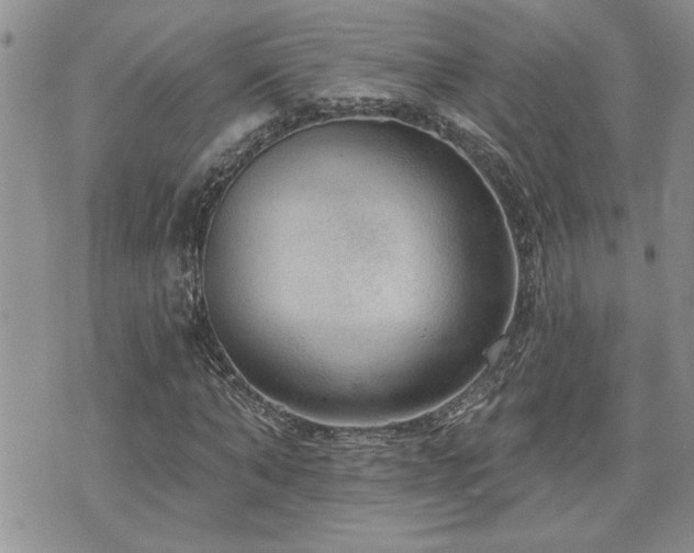 X0000070860870200606161137