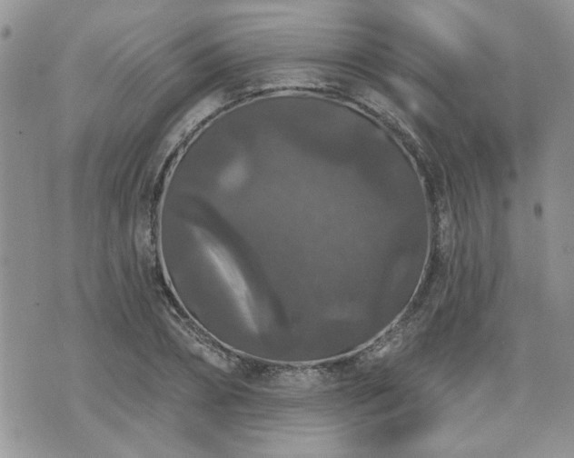 X0000070860882200606161137