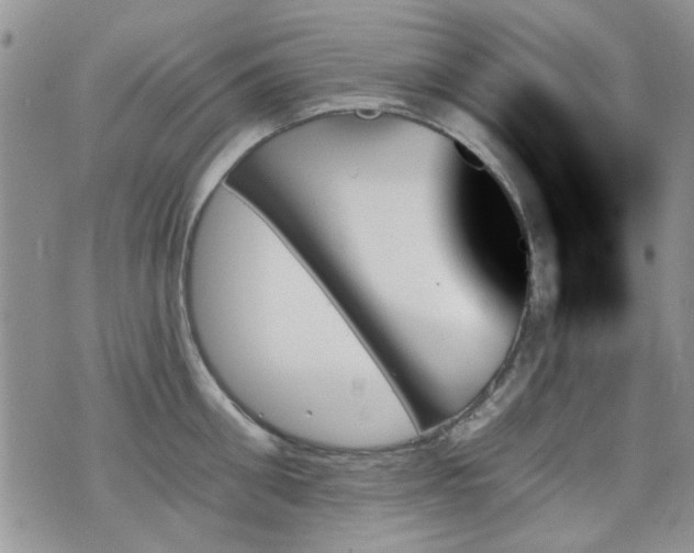 X0000070860906200606161137