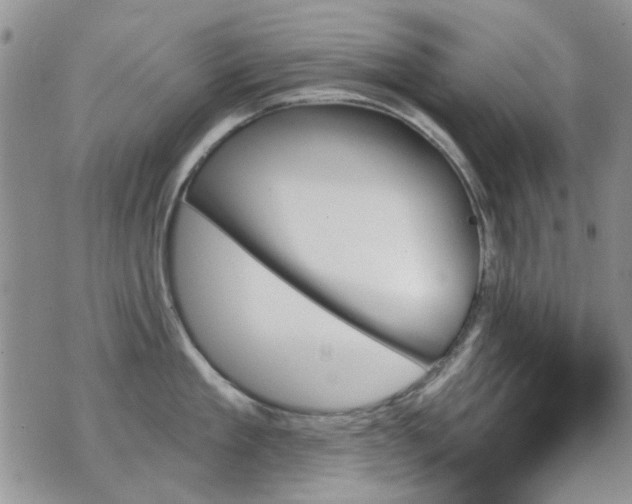 X0000070860909200606161137