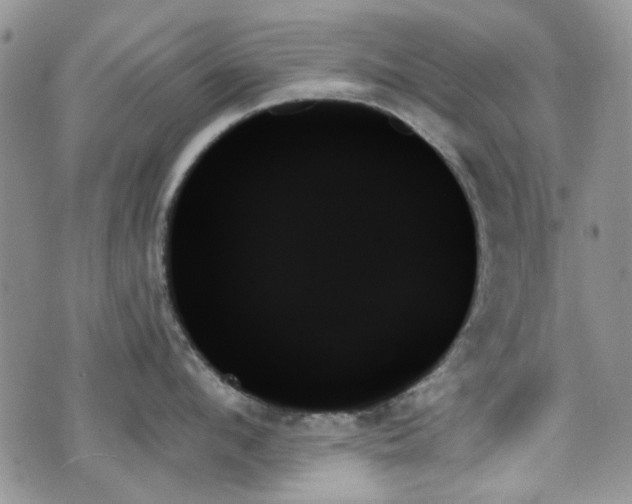 X0000070860912200606161137