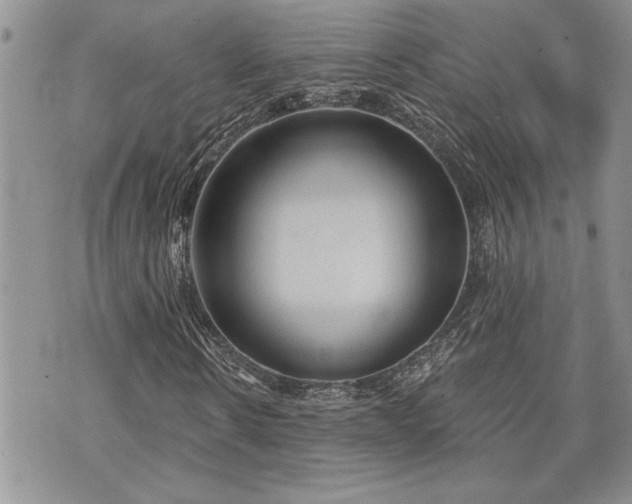 X0000070860914200606161136