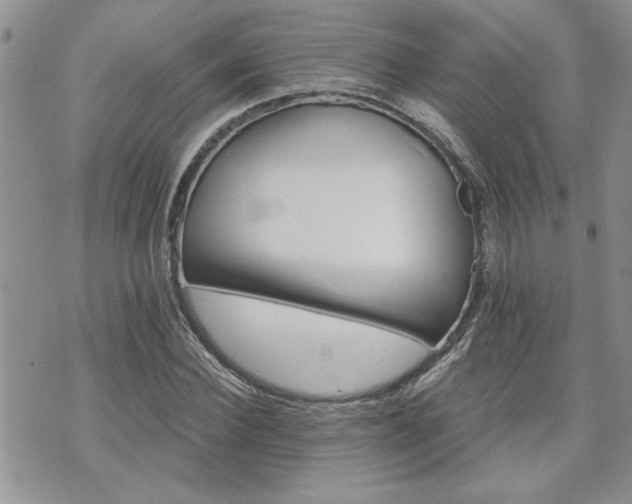 X0000070860924200606161136
