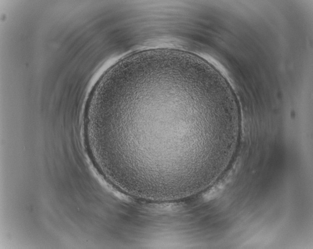X0000070860949200606161137