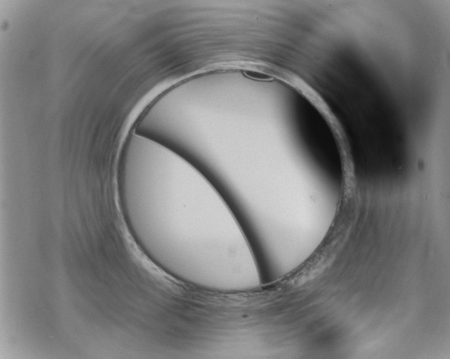 X0000070860955200606161137