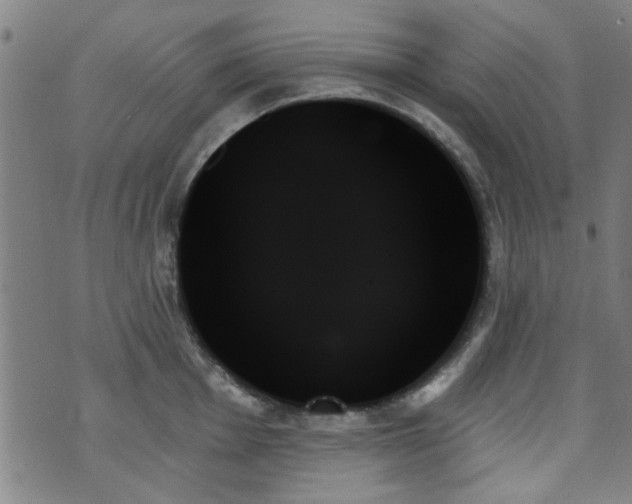 X0000070861001200606161135