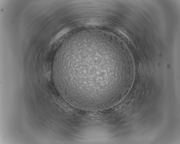 X0000070861015200606161134