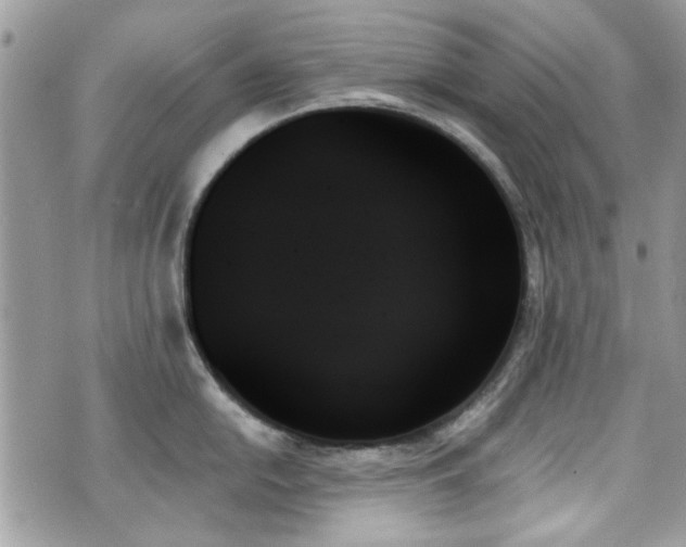 X0000070861054200606161135