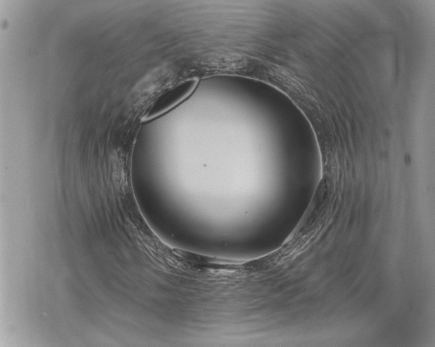 X0000070861058200606161134