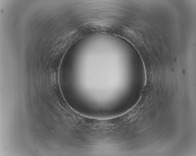 X0000070861061200606161134