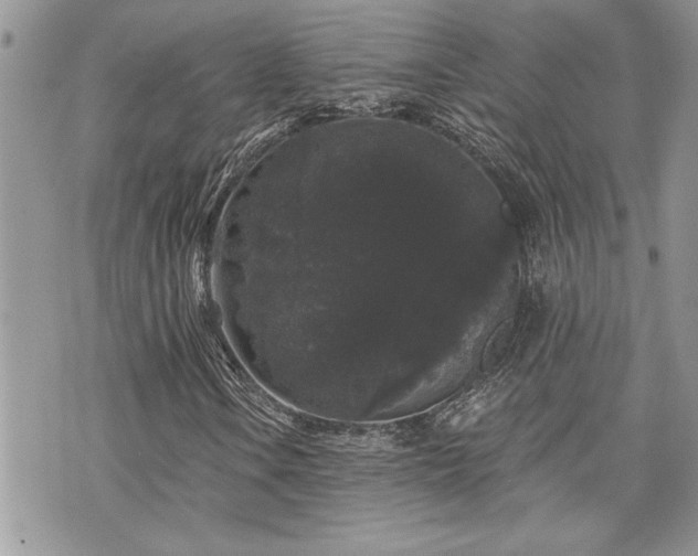 X0000070861106200606161133