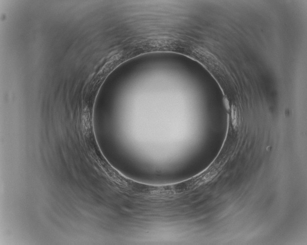 X0000070861107200606161133