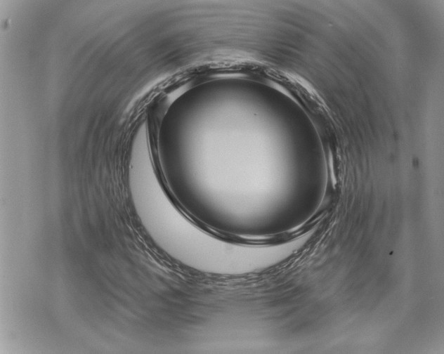 X0000070861112200606161133