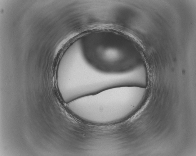 X0000070861117200606161133