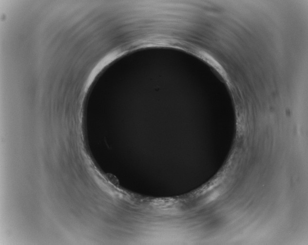 X0000070861146200606161133