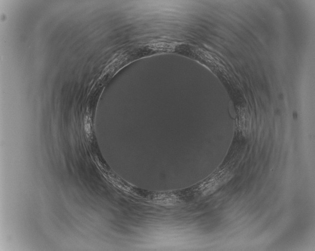 X0000070861154200606161133