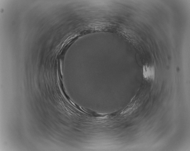 X0000070861155200606161133