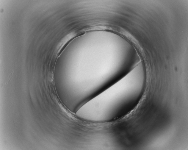 X0000070861193200606161132