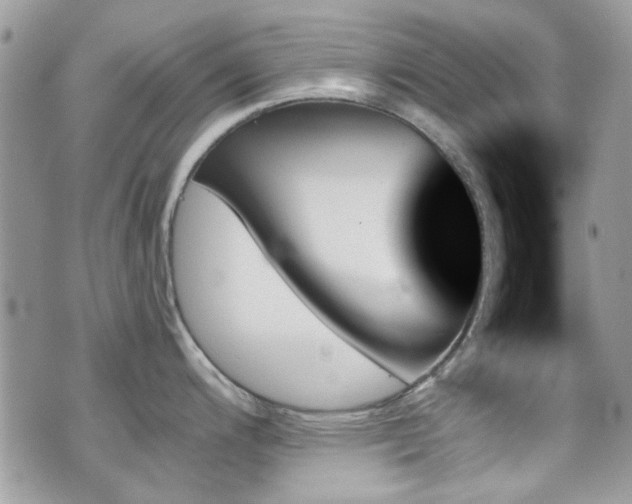 X0000070861200200606161132