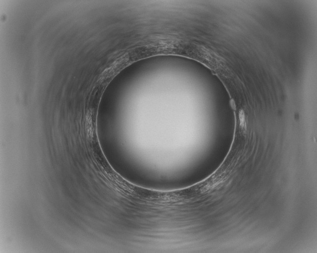 X0000070861203200606161131