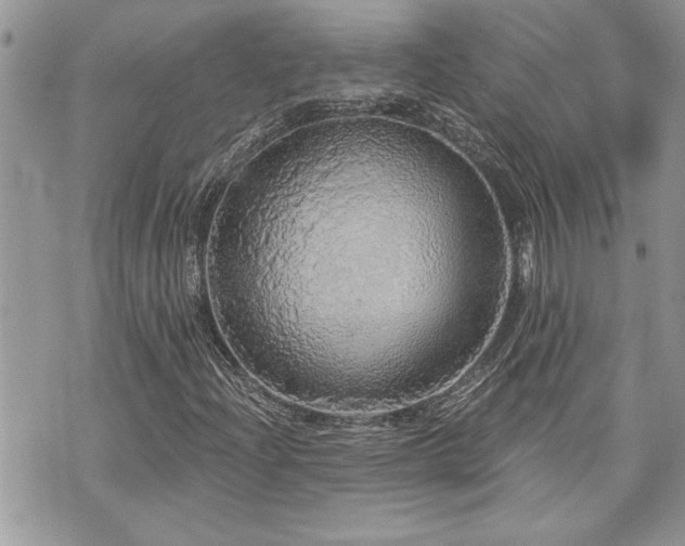 X0000070861204200606161131