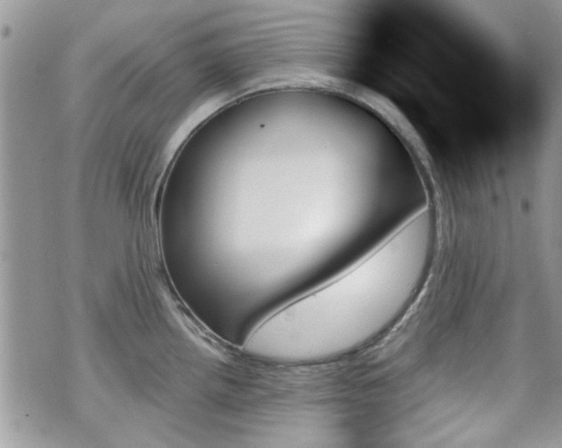 X0000070861242200606161132