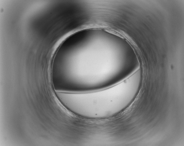 X0000070861246200606161132