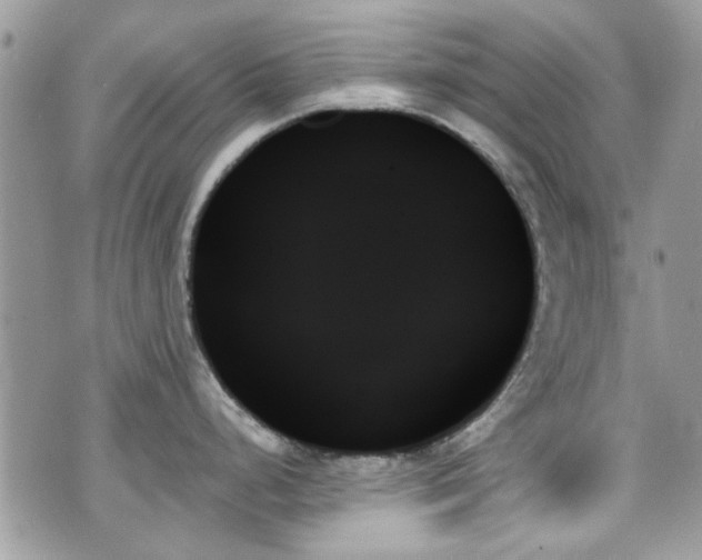 X0000070861248200606161132