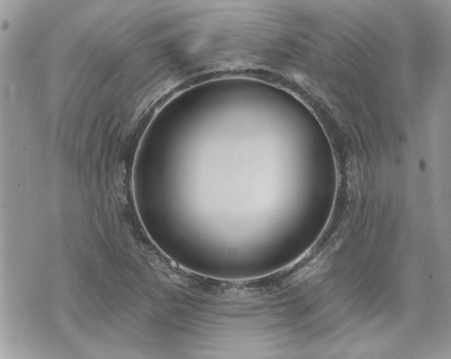 X0000070861265200606161131
