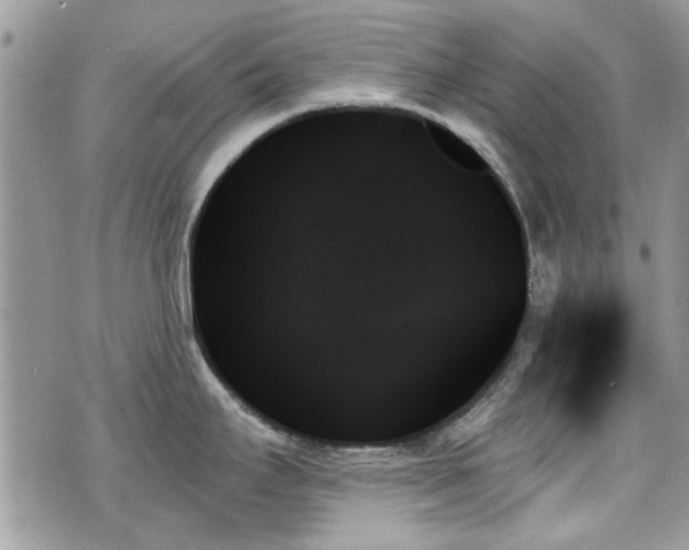 X0000070861295200606161130