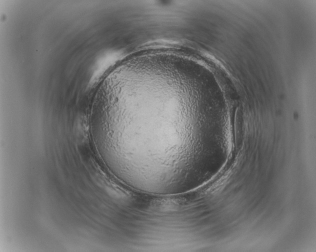 X0000070861355200606161130