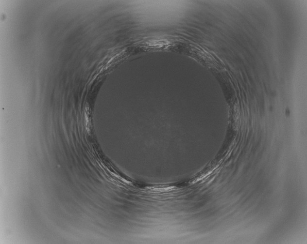 X0000070861394200606161128