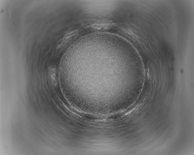 X0000070861396200606161128