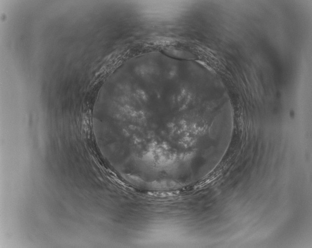 X0000070861397200606161128