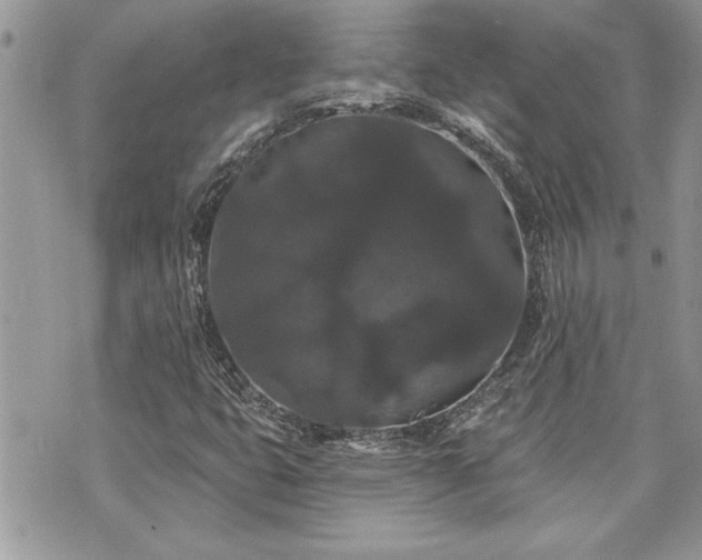 X0000070861399200606161128