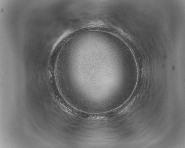 X0000070861400200606161128