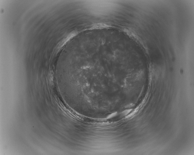 X0000070861401200606161128