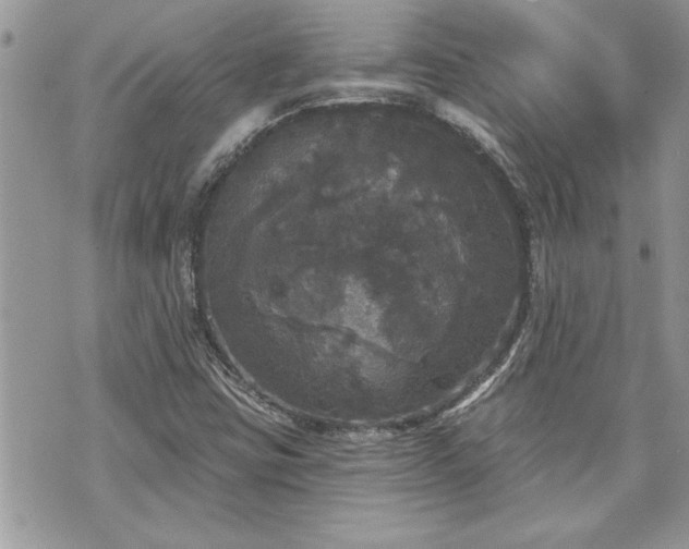 X0000070861403200606161128