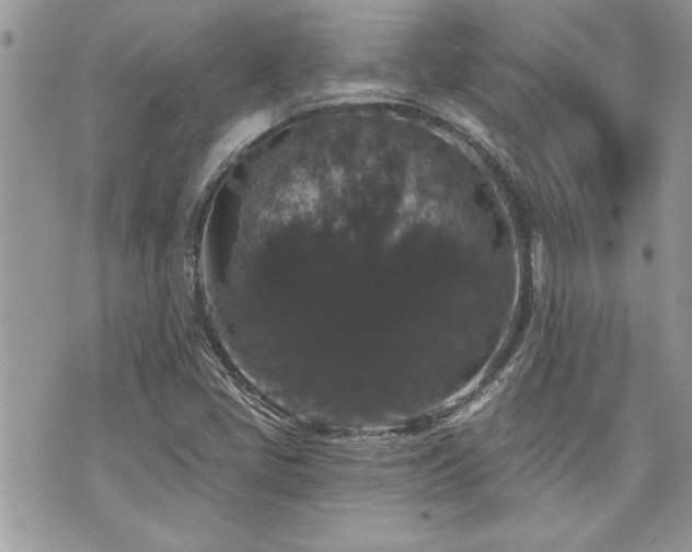 X0000070861405200606161128