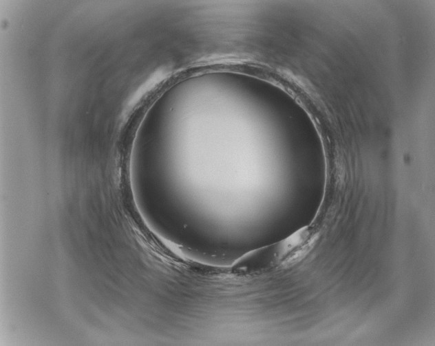 X0000070861406200606161128