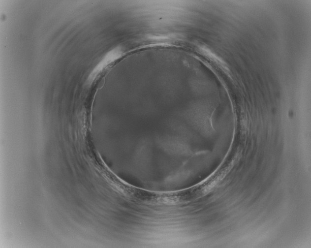 X0000070861411200606161128