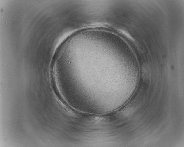 X0000070861412200606161128