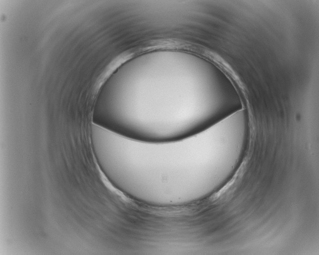 X0000070861433200606161129