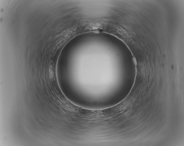 X0000070861442200606161128