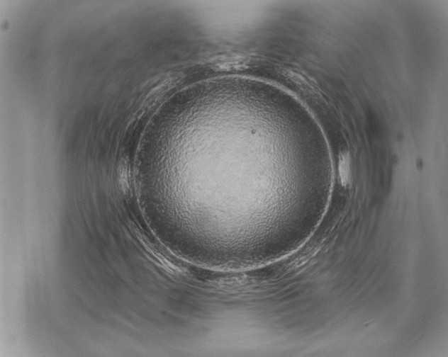 X0000070861444200606161128